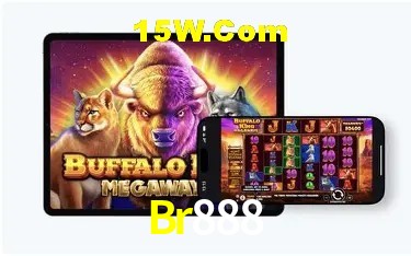 Sistemas de Segurança Br888