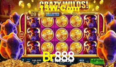 Br888 Brasília - Betting Features